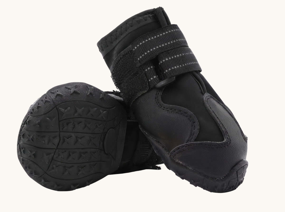 Lot de 4 chaussons de Protection pour Chien