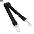 Ceinture de sécurité canine