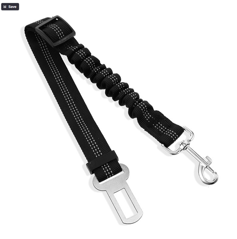 Ceinture de sécurité canine